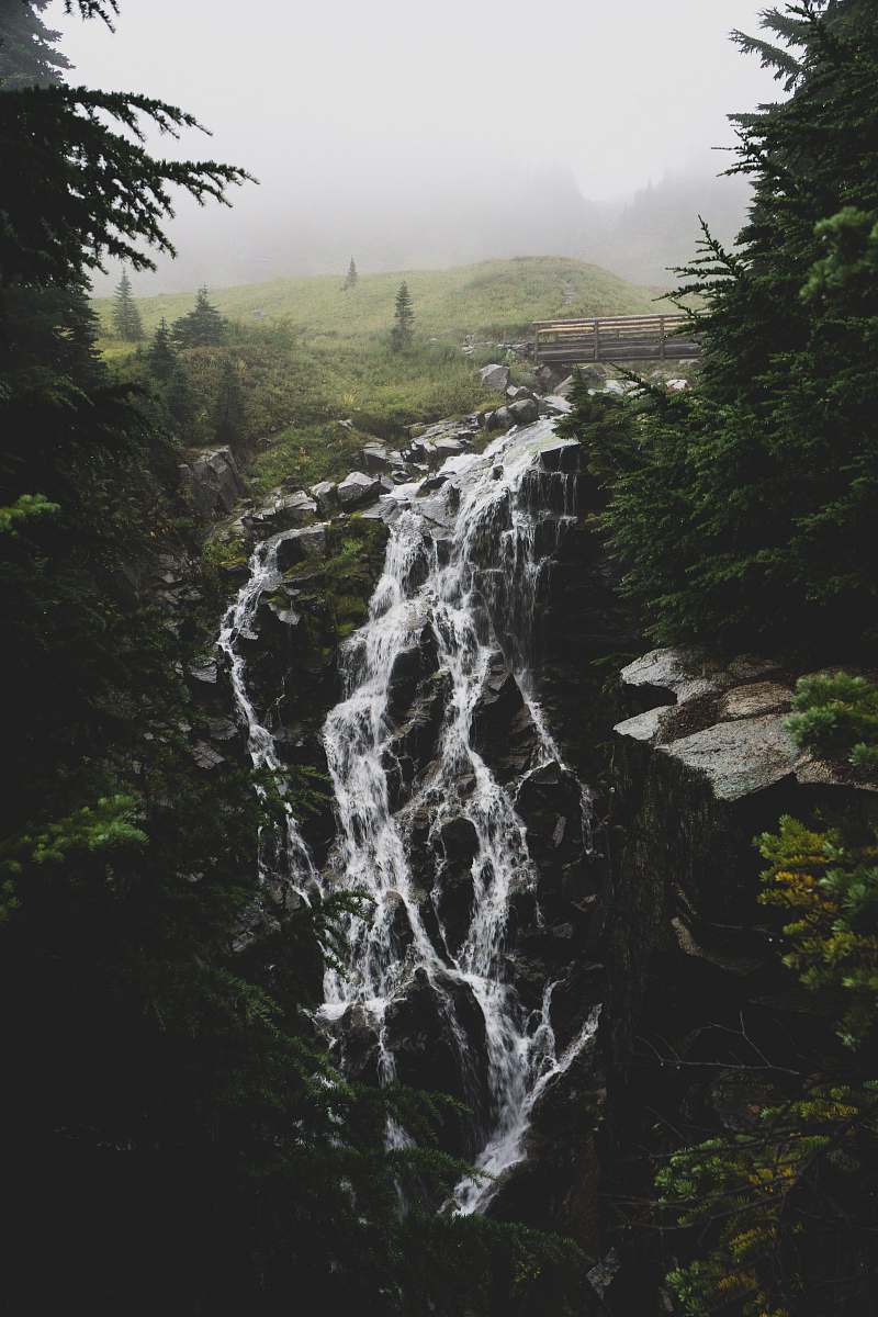 ashford waterfall scenery united states